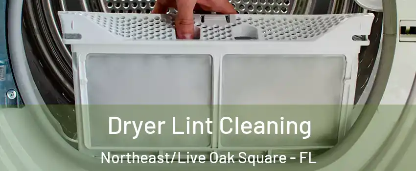 Dryer Lint Cleaning Northeast/Live Oak Square - FL