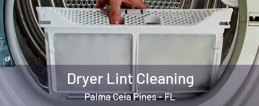 Dryer Lint Cleaning Palma Ceia Pines - FL