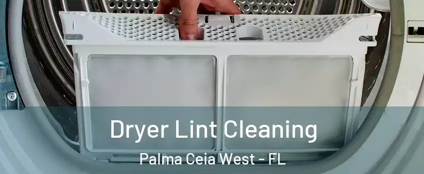 Dryer Lint Cleaning Palma Ceia West - FL