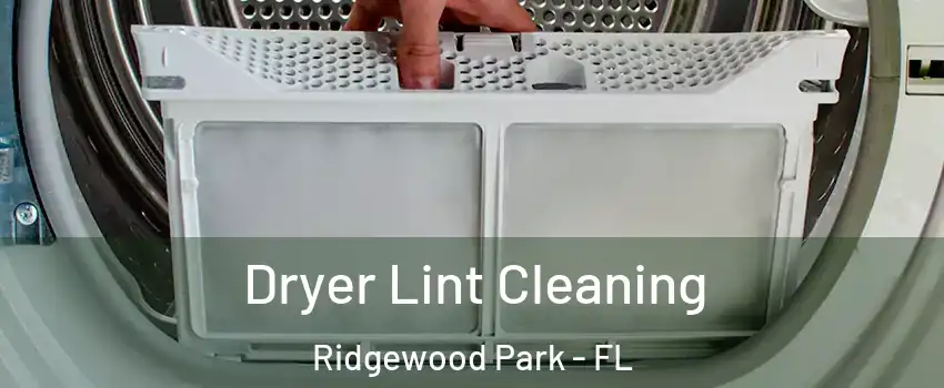 Dryer Lint Cleaning Ridgewood Park - FL