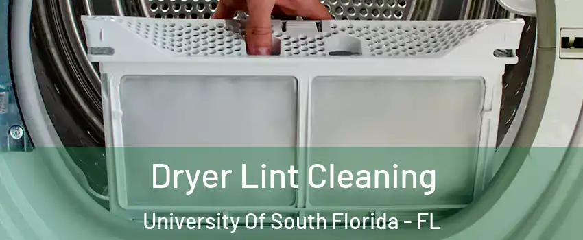 Dryer Lint Cleaning University Of South Florida - FL