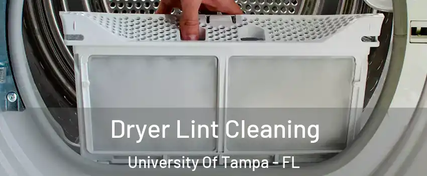 Dryer Lint Cleaning University Of Tampa - FL