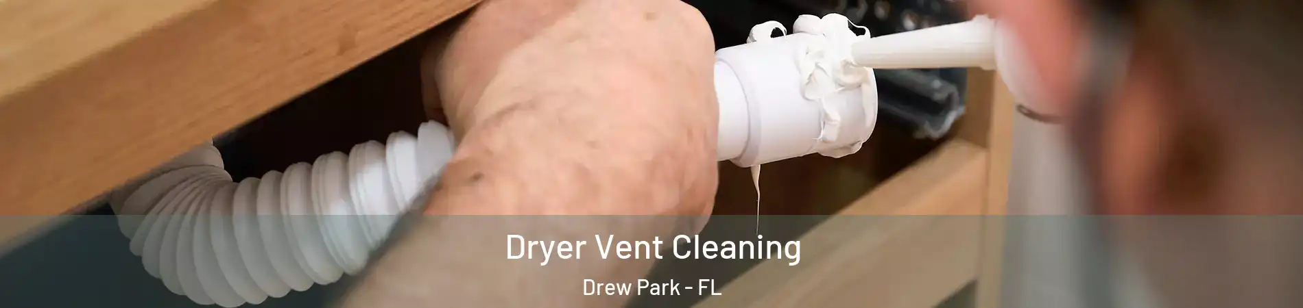 Dryer Vent Cleaning Drew Park - FL