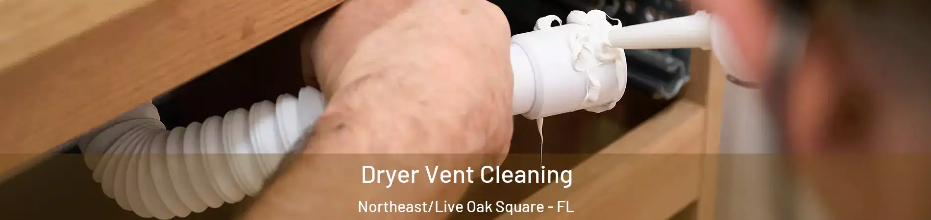 Dryer Vent Cleaning Northeast/Live Oak Square - FL