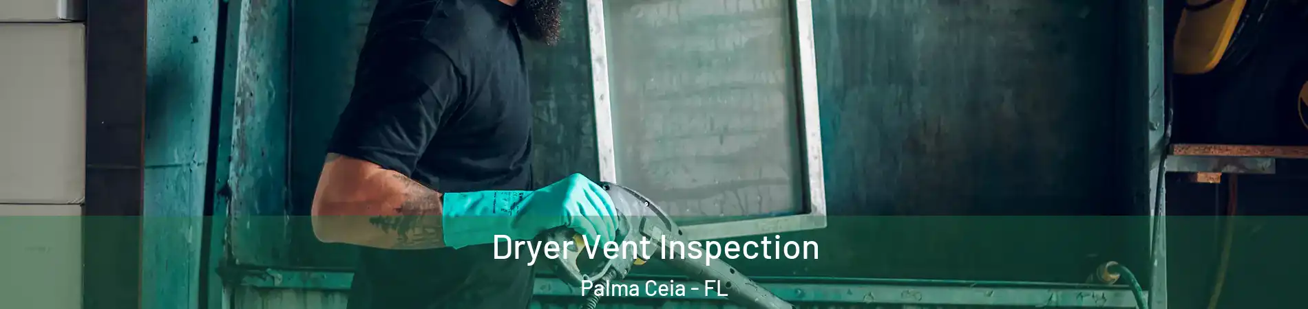 Dryer Vent Inspection Palma Ceia - FL