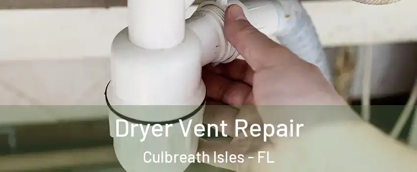 Dryer Vent Repair Culbreath Isles - FL