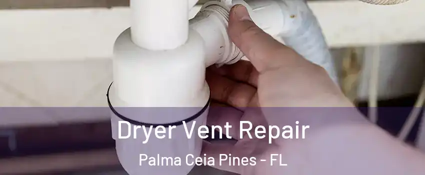 Dryer Vent Repair Palma Ceia Pines - FL