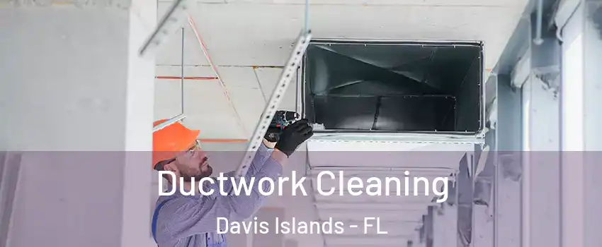 Ductwork Cleaning Davis Islands - FL