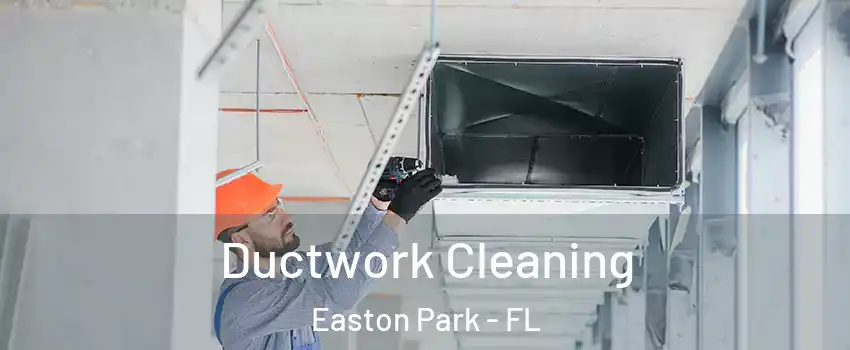 Ductwork Cleaning Easton Park - FL