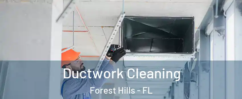 Ductwork Cleaning Forest Hills - FL