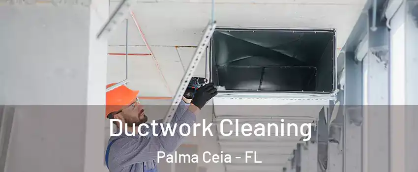 Ductwork Cleaning Palma Ceia - FL