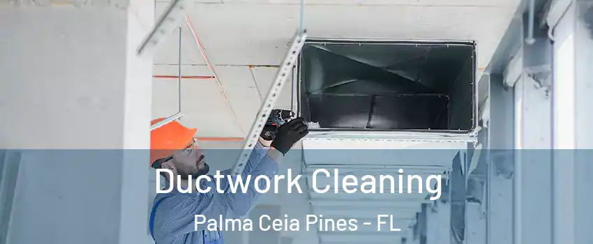 Ductwork Cleaning Palma Ceia Pines - FL