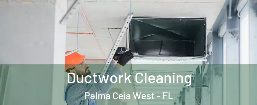 Ductwork Cleaning Palma Ceia West - FL