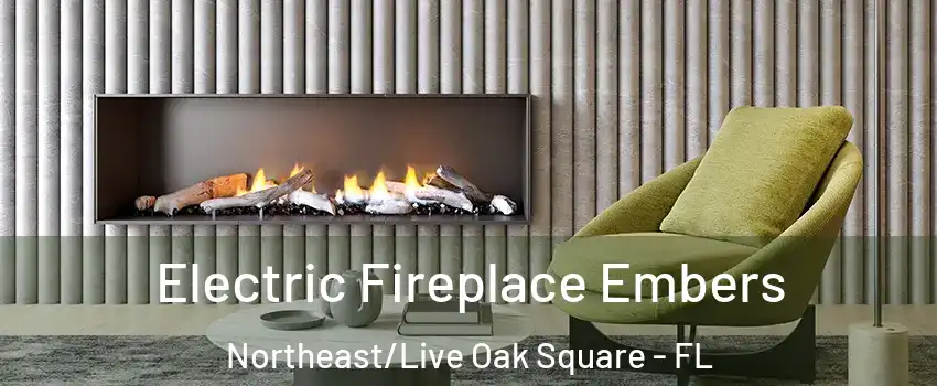 Electric Fireplace Embers Northeast/Live Oak Square - FL