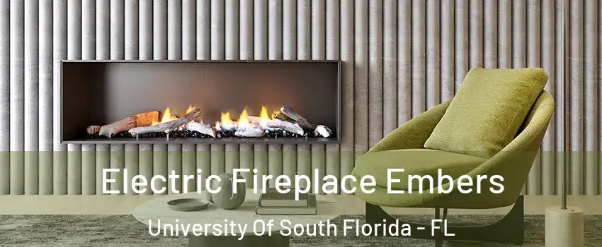 Electric Fireplace Embers University Of South Florida - FL