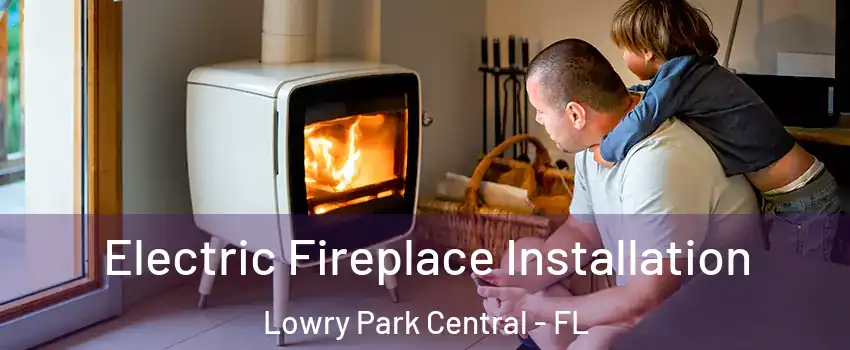 Electric Fireplace Installation Lowry Park Central - FL