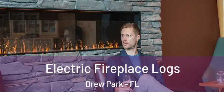 Electric Fireplace Logs Drew Park - FL