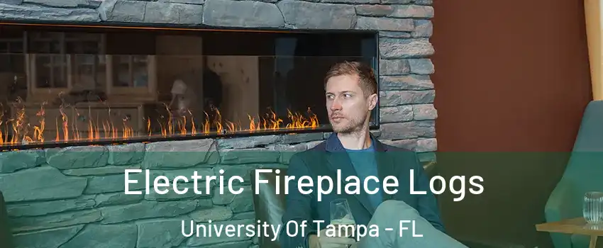 Electric Fireplace Logs University Of Tampa - FL