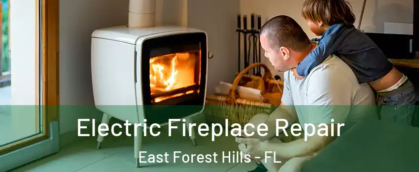 Electric Fireplace Repair East Forest Hills - FL