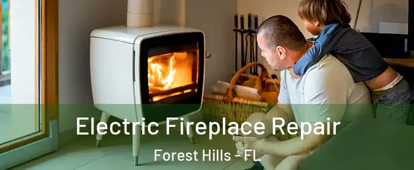 Electric Fireplace Repair Forest Hills - FL