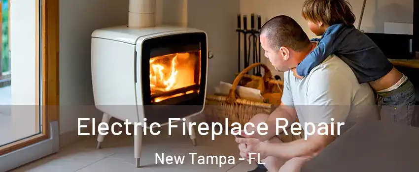 Electric Fireplace Repair New Tampa - FL