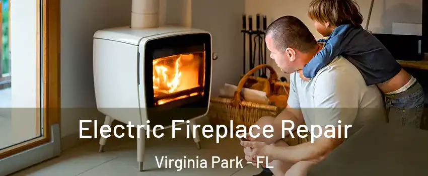 Electric Fireplace Repair Virginia Park - FL