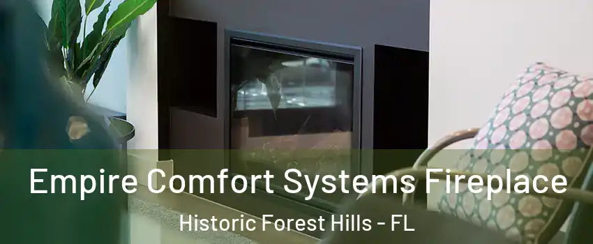 Empire Comfort Systems Fireplace Historic Forest Hills - FL