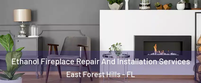 Ethanol Fireplace Repair And Installation Services East Forest Hills - FL
