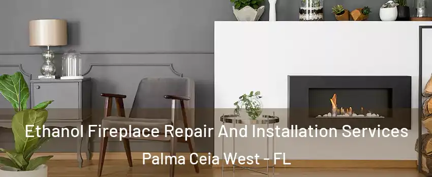 Ethanol Fireplace Repair And Installation Services Palma Ceia West - FL