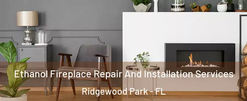 Ethanol Fireplace Repair And Installation Services Ridgewood Park - FL