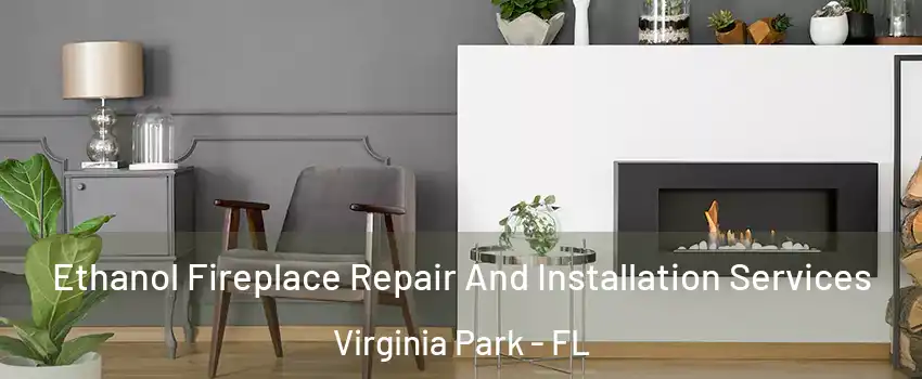 Ethanol Fireplace Repair And Installation Services Virginia Park - FL