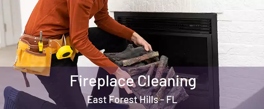 Fireplace Cleaning East Forest Hills - FL