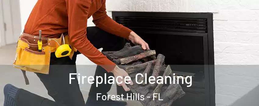 Fireplace Cleaning Forest Hills - FL