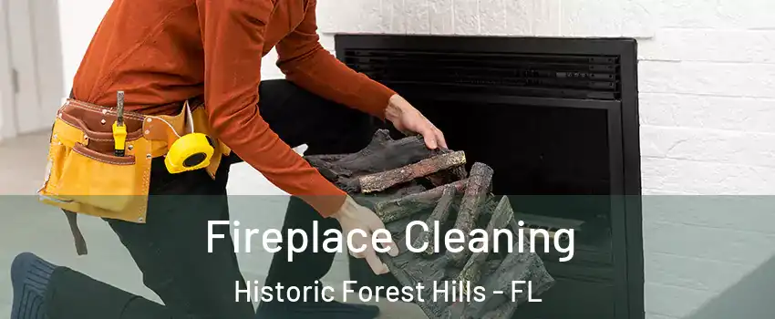 Fireplace Cleaning Historic Forest Hills - FL