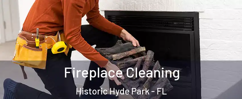 Fireplace Cleaning Historic Hyde Park - FL