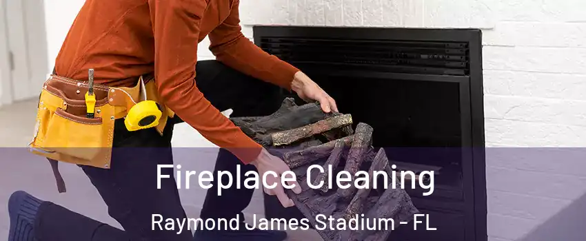 Fireplace Cleaning Raymond James Stadium - FL