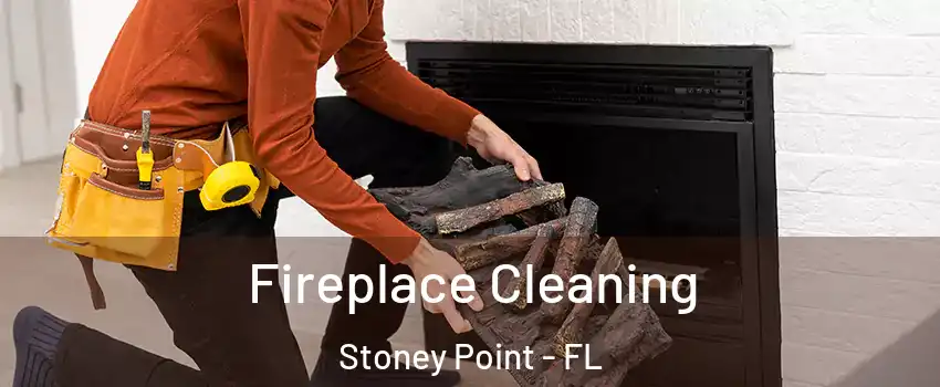 Fireplace Cleaning Stoney Point - FL