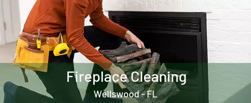 Fireplace Cleaning Wellswood - FL