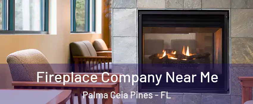 Fireplace Company Near Me Palma Ceia Pines - FL