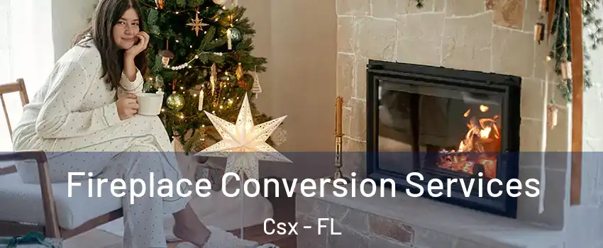 Fireplace Conversion Services Csx - FL