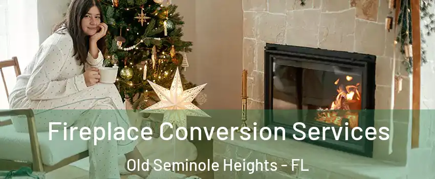 Fireplace Conversion Services Old Seminole Heights - FL