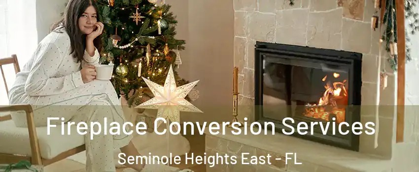 Fireplace Conversion Services Seminole Heights East - FL