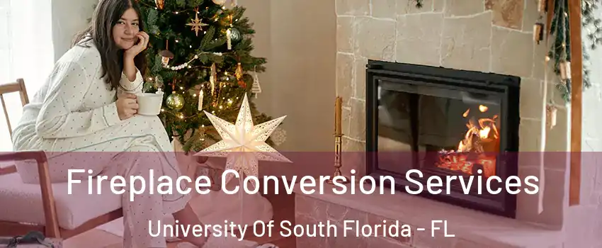 Fireplace Conversion Services University Of South Florida - FL