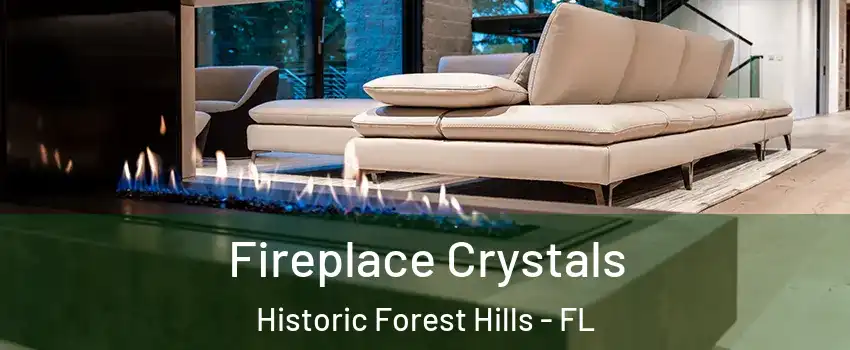 Fireplace Crystals Historic Forest Hills - FL