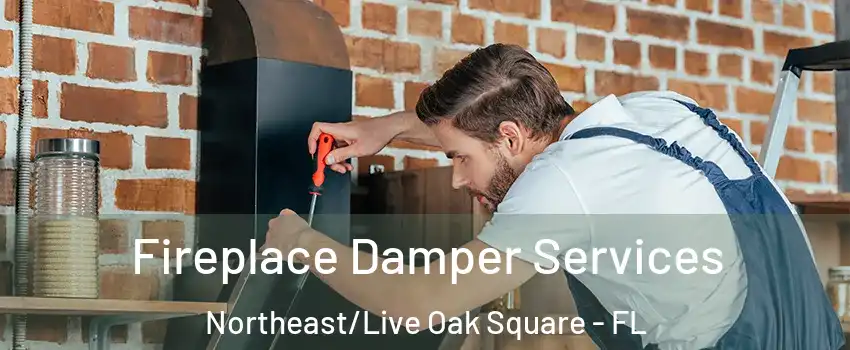 Fireplace Damper Services Northeast/Live Oak Square - FL