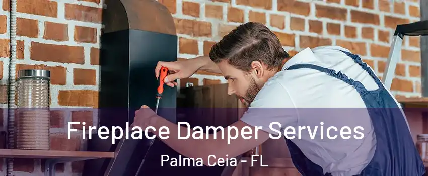Fireplace Damper Services Palma Ceia - FL