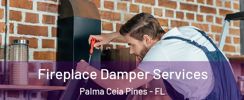 Fireplace Damper Services Palma Ceia Pines - FL
