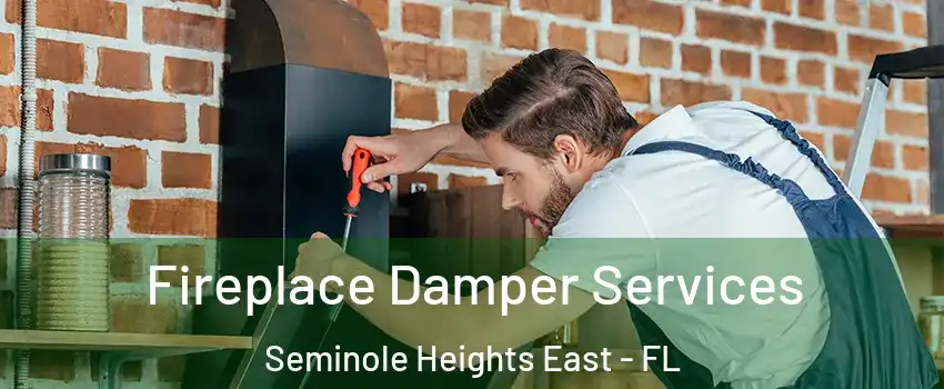 Fireplace Damper Services Seminole Heights East - FL