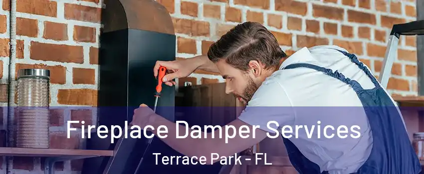 Fireplace Damper Services Terrace Park - FL