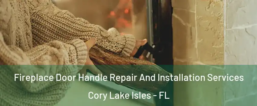 Fireplace Door Handle Repair And Installation Services Cory Lake Isles - FL